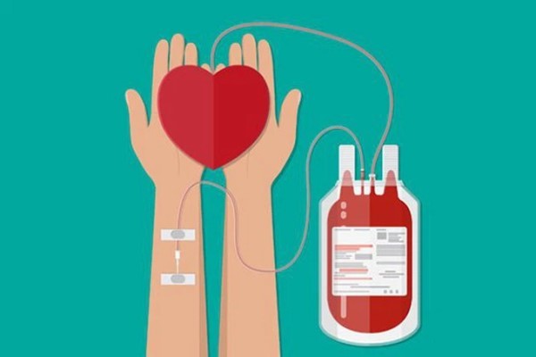 Lợi ích của việc hiến máu - Không chỉ là hành động nhân văn, tác dụng số 2 khiến nhiều người bất ngờ